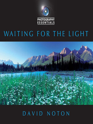 cover image of Waiting for the Light